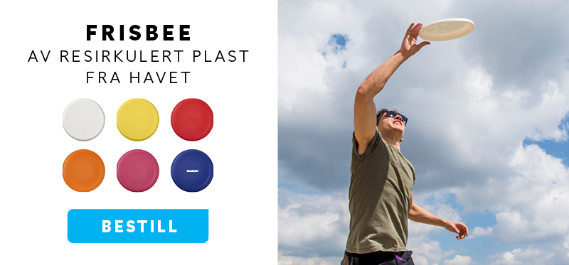 dt-frisbee-2