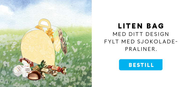 dt-liten-bag-2