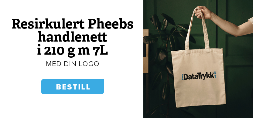 DT handlenett3